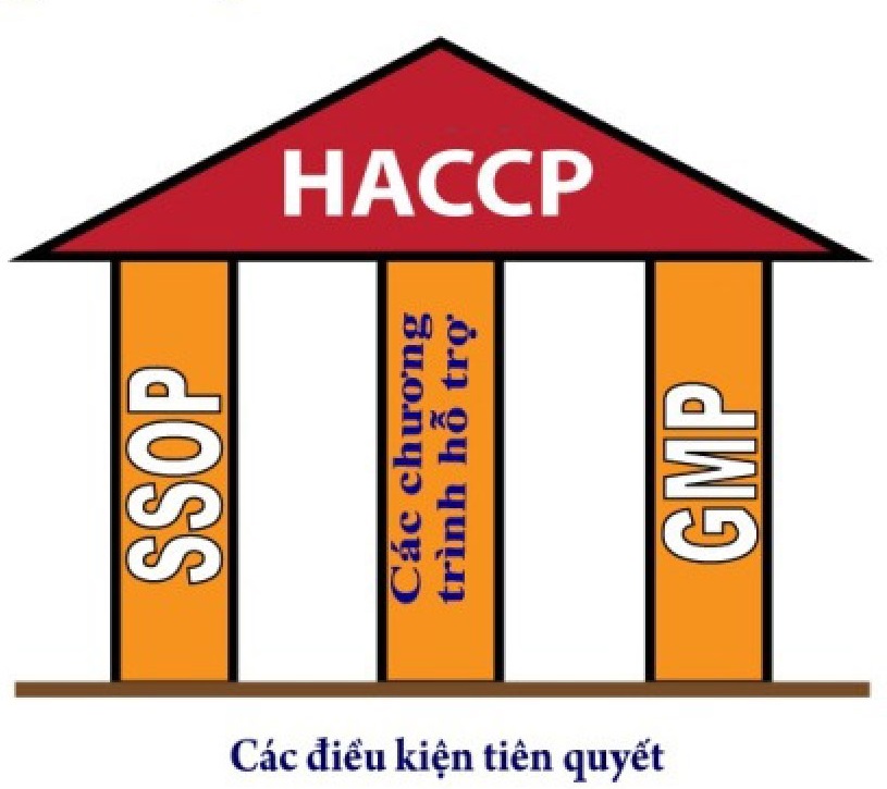 KHÓA TẬP HUẤN HACCP CƠ BẢN TRONG DOANH NGHIỆP CHẾ BIẾN THỦY SẢN