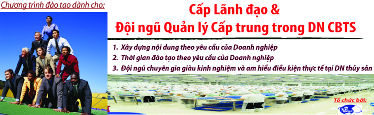 Chương trình đào tạo dành cho Cấp Lãnh đạo  Quản lý cấp trung trong DN Chế biến Thủy sản