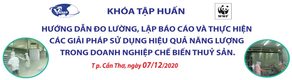 KHÓA TẬP HUẤN K20.20_HƯỚNG DẪN ĐO LƯỜNG, LẬP BÁO CÁO VÀ THỰC HIỆN CÁC GIẢI PHÁP SỬ DỤNG HIỆU QUẢ NĂNG LƯỢNG TRONG DOANH NGHIỆP CHẾ BIẾN THUỶ SẢN.