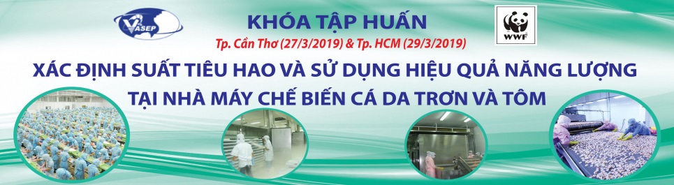 Khóa tập huấn Xác định suất tiêu hao và sử dụng hiệu quả năng lượng tại nhà máy chế biến cá da trơn và tôm