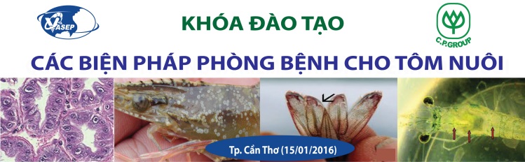 Khóa đào tạo K1.16 “Các biện pháp Phòng bệnh cho Tôm nuôi”