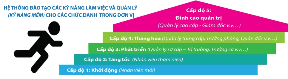Hệ thống đào tạo các kỹ năng làm việc và quản lý (kỹ năng mềm) cho các chức danh trong đơn vị