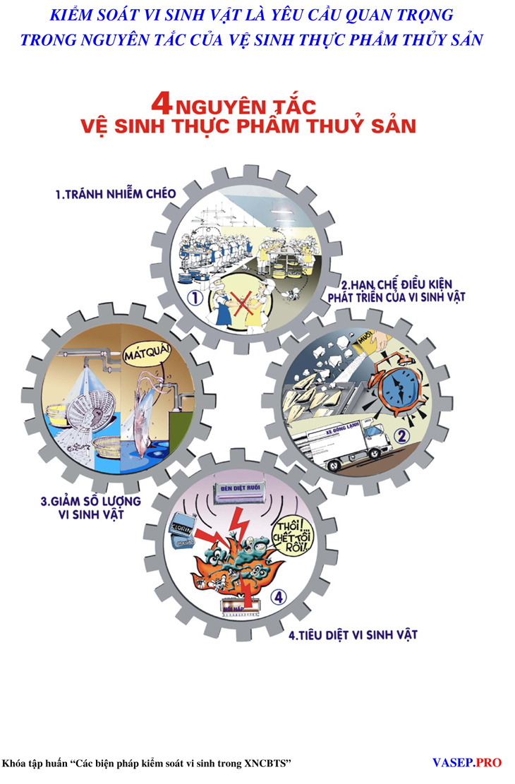 I.4.19 Kiểm soát hiệu quả vi sinh trong nhà máy thủy sản - Tổ chức tại Công ty Cổ phần Vĩnh Hoàn (VINH HOAN CORP.)