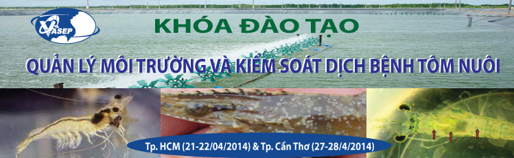 Khóa đào tạo K.10.14 “Quản lý môi trường và kiểm soát dịch bệnh tôm nuôi”