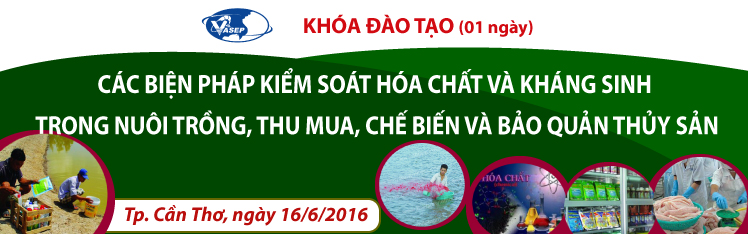 Khóa đào tạo Các biện pháp kiểm soát hóa chất và kháng sinh trong nuôi trồng, thu mua, chế biến và bảo quản thủy sản